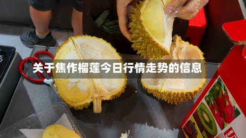 关于焦作榴莲今日行情走势的信息
