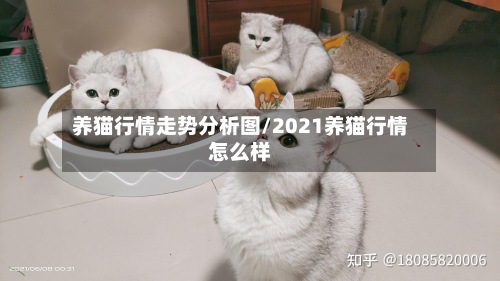 养猫行情走势分析图/2021养猫行情怎么样