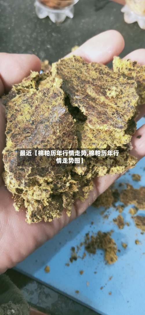 最近【棉粕历年行情走势,棉粕历年行情走势图】