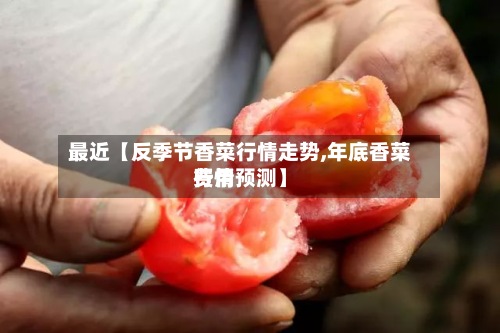 最近【反季节香菜行情走势,年底香菜费用行情预测】