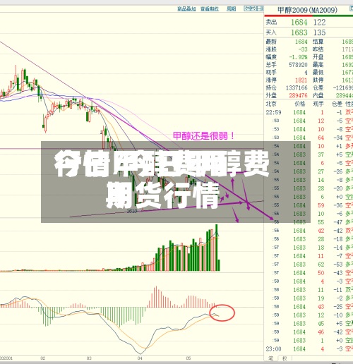 今曰甲醇费用行情/今日甲醇费用期货行情