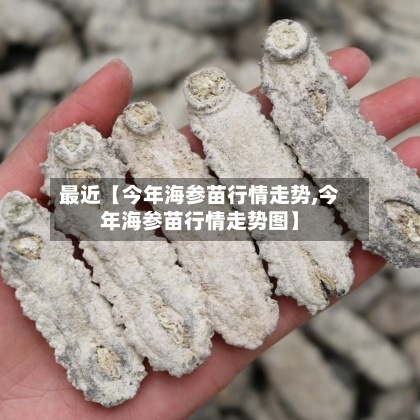 最近【今年海参苗行情走势,今年海参苗行情走势图】-第2张图片