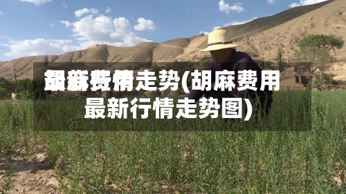 胡麻费用最新行情走势(胡麻费用最新行情走势图)-第2张图片