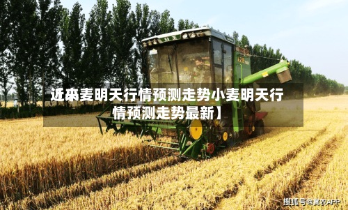 近来【小麦明天行情预测走势小麦明天行情预测走势最新】-第2张图片