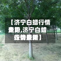 【济宁白蜡行情费用走势,济宁白蜡行情费用走势最新】