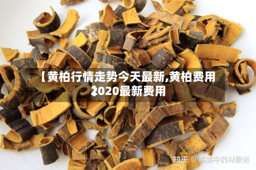 【黄柏行情走势今天最新,黄柏费用2020最新费用】