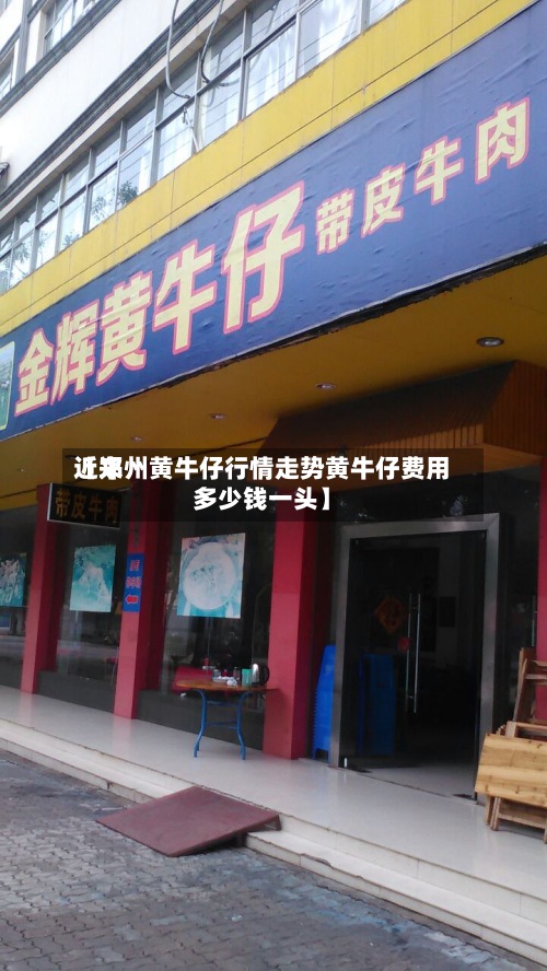 近来【郑州黄牛仔行情走势黄牛仔费用多少钱一头】-第2张图片