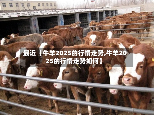 最近【牛羊2025的行情走势,牛羊2025的行情走势如何】