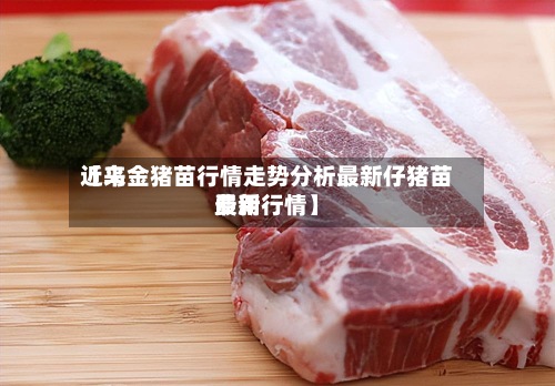 近来【乌金猪苗行情走势分析最新仔猪苗费用最新行情】-第2张图片
