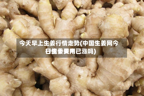 今天早上生姜行情走势(中国生姜网今日生姜费用行情十天内已涨吗)
