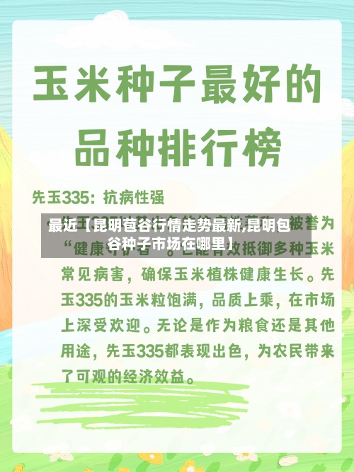 最近【昆明苞谷行情走势最新,昆明包谷种子市场在哪里】