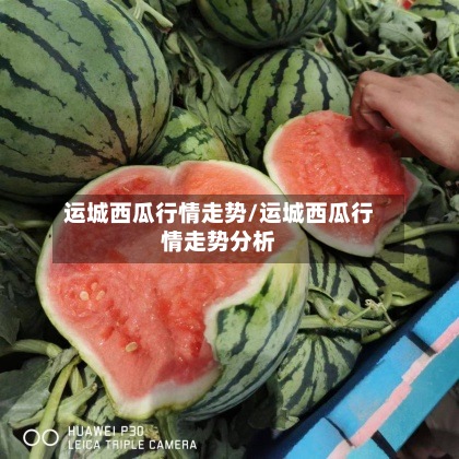运城西瓜行情走势/运城西瓜行情走势分析