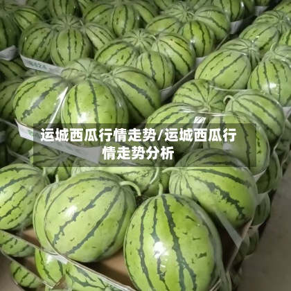 运城西瓜行情走势/运城西瓜行情走势分析-第2张图片