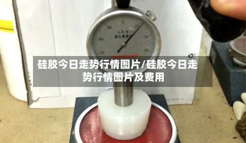 硅胶今日走势行情图片/硅胶今日走势行情图片及费用
-第3张图片