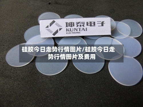 硅胶今日走势行情图片/硅胶今日走势行情图片及费用
-第2张图片