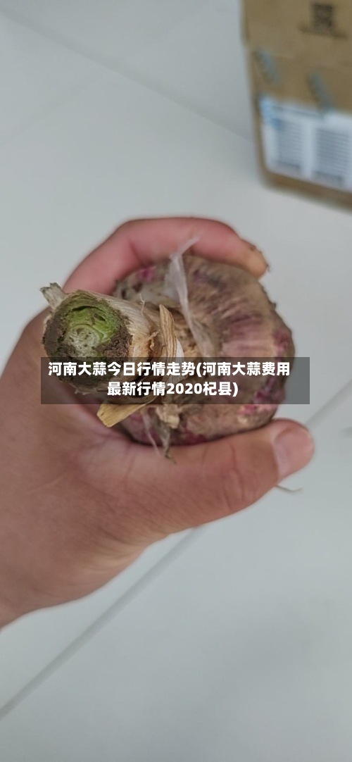 河南大蒜今日行情走势(河南大蒜费用
最新行情2020杞县)