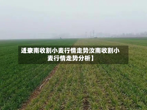 近来
【汝南收割小麦行情走势汝南收割小麦行情走势分析】-第2张图片