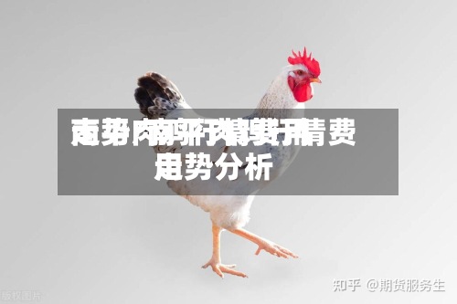 南平肉鸡行情费用走势/南平肉鸡行情费用走势分析-第2张图片