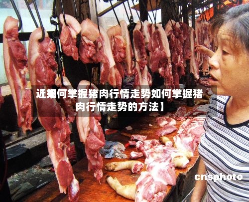 近来【如何掌握猪肉行情走势如何掌握猪肉行情走势的方法】