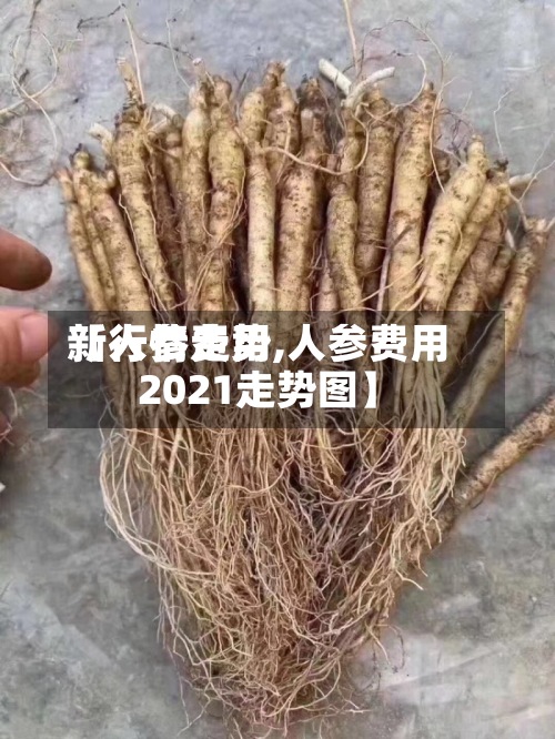 【人参费用
新行情走势,人参费用
2021走势图】-第2张图片