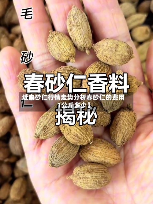 近来【春砂仁行情走势分析春砂仁的费用1公斤多少】-第3张图片