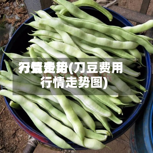 刀豆费用
行情走势(刀豆费用
行情走势图)