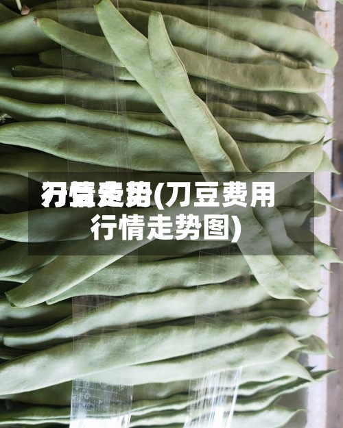 刀豆费用
行情走势(刀豆费用
行情走势图)-第2张图片