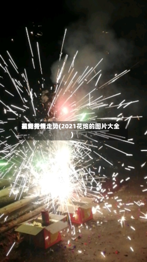 花炮费用最新行情走势(2021花炮的图片大全)-第3张图片