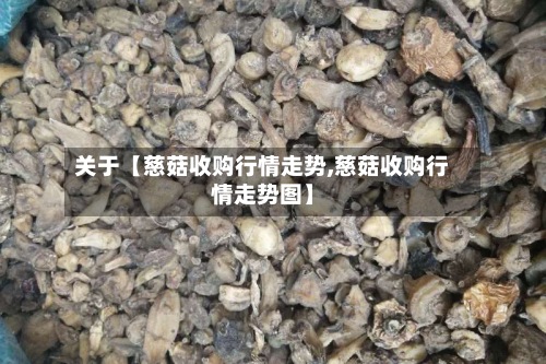 关于【慈菇收购行情走势,慈菇收购行情走势图】-第2张图片