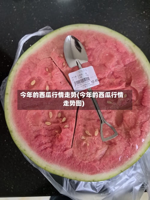 今年的西瓜行情走势(今年的西瓜行情走势图)-第2张图片