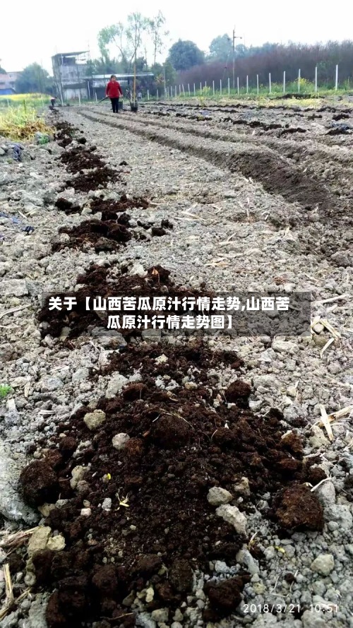 关于【山西苦瓜原汁行情走势,山西苦瓜原汁行情走势图】-第2张图片