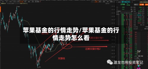 苹果基金的行情走势/苹果基金的行情走势怎么看-第2张图片
