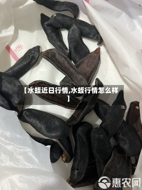 【水蛭近日行情,水蛭行情怎么样】-第3张图片