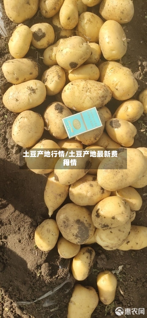 土豆产地行情/土豆产地最新费用
行情