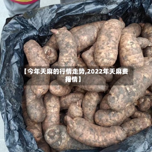 【今年天麻的行情走势,2022年天麻费用行情】