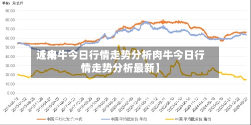 近来【肉牛今日行情走势分析肉牛今日行情走势分析最新】
