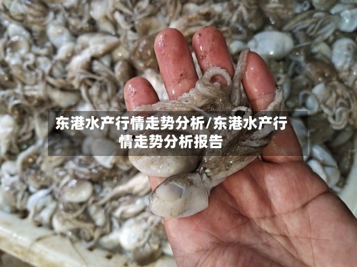 东港水产行情走势分析/东港水产行情走势分析报告-第2张图片