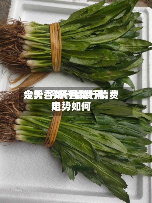 今天香菜行情费用
走势/今天香菜行情费用
走势如何-第2张图片