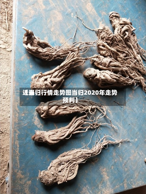 近来【当归行情走势图当归2020年走势预判】-第2张图片