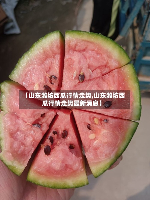 【山东潍坊西瓜行情走势,山东潍坊西瓜行情走势最新消息】