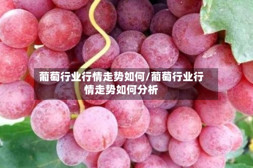 葡萄行业行情走势如何/葡萄行业行情走势如何分析