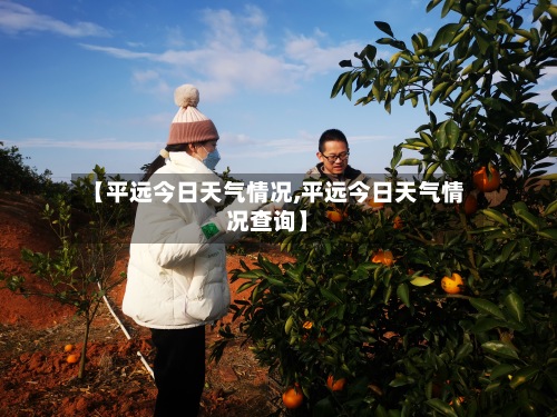【平远今日天气情况,平远今日天气情况查询】-第3张图片