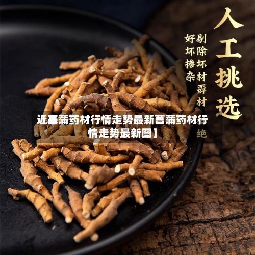 近来【菖蒲药材行情走势最新菖蒲药材行情走势最新图】-第2张图片