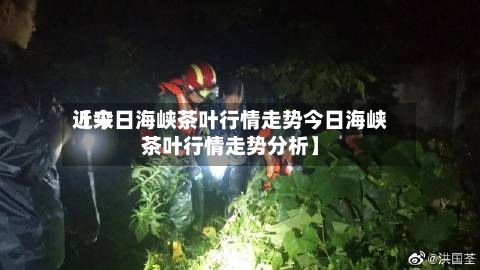 近来【今日海峡茶叶行情走势今日海峡茶叶行情走势分析】