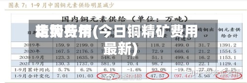 精铜费用
走势行情(今日铜精矿费用
最新)-第2张图片