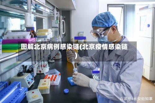 图解北京病例感染链(北京疫情感染链)
