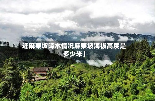 近来
【麻栗坡降水情况麻栗坡海拔高度是多少米】-第3张图片