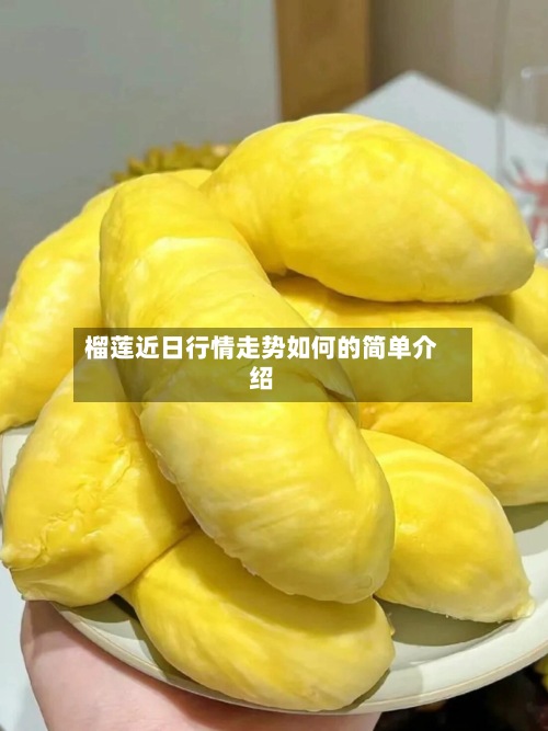 榴莲近日行情走势如何的简单介绍-第2张图片