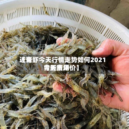 近来【青虾今天行情走势如何2021青虾费用今天市场价】