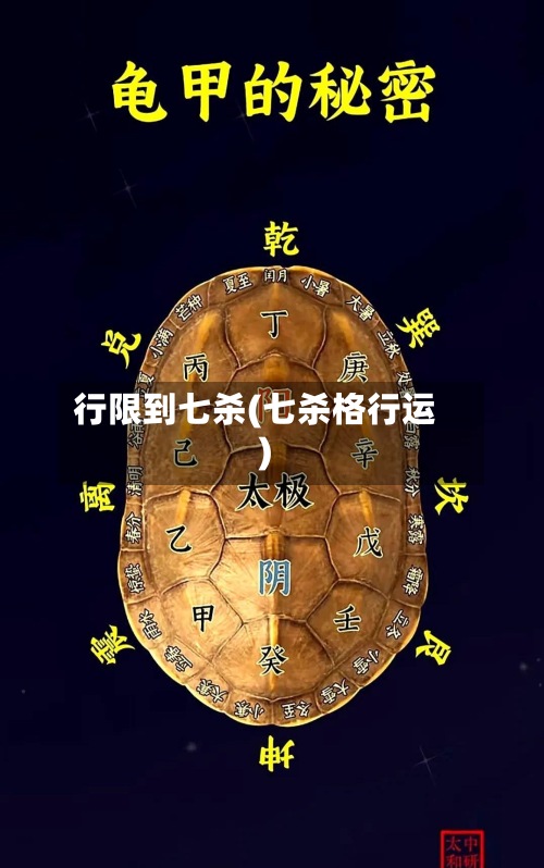 行限到七杀(七杀格行运)